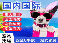 三沙永兴空运国际宠物托运 【国